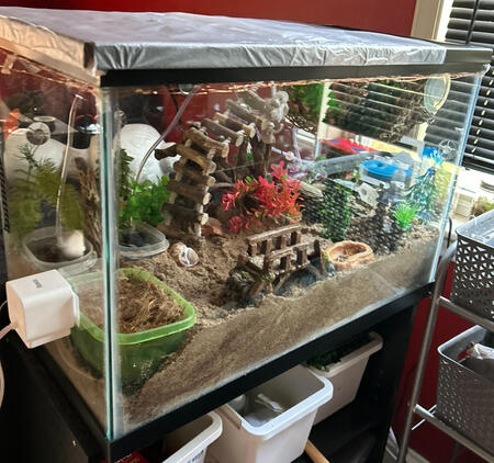 My Tank Is A 20 Gallon And I Have Two Crabs, Cost Me Around $600.